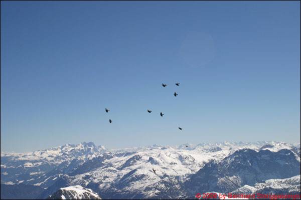 Skitour