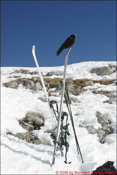 Skitour