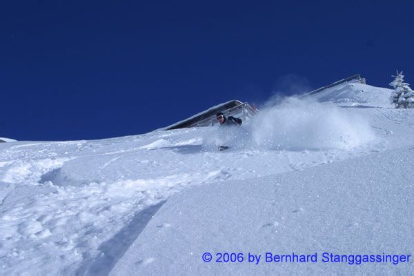 Jenner 0281
