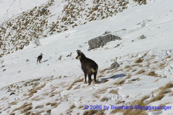Winter 2004 064